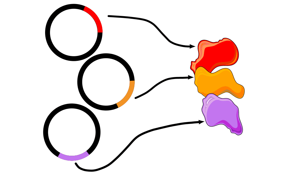 Combinatorial Screening